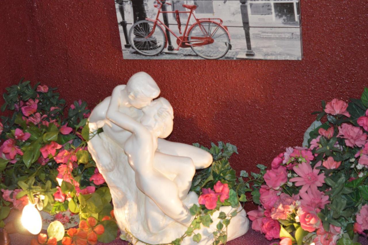 Myosotis Hotel