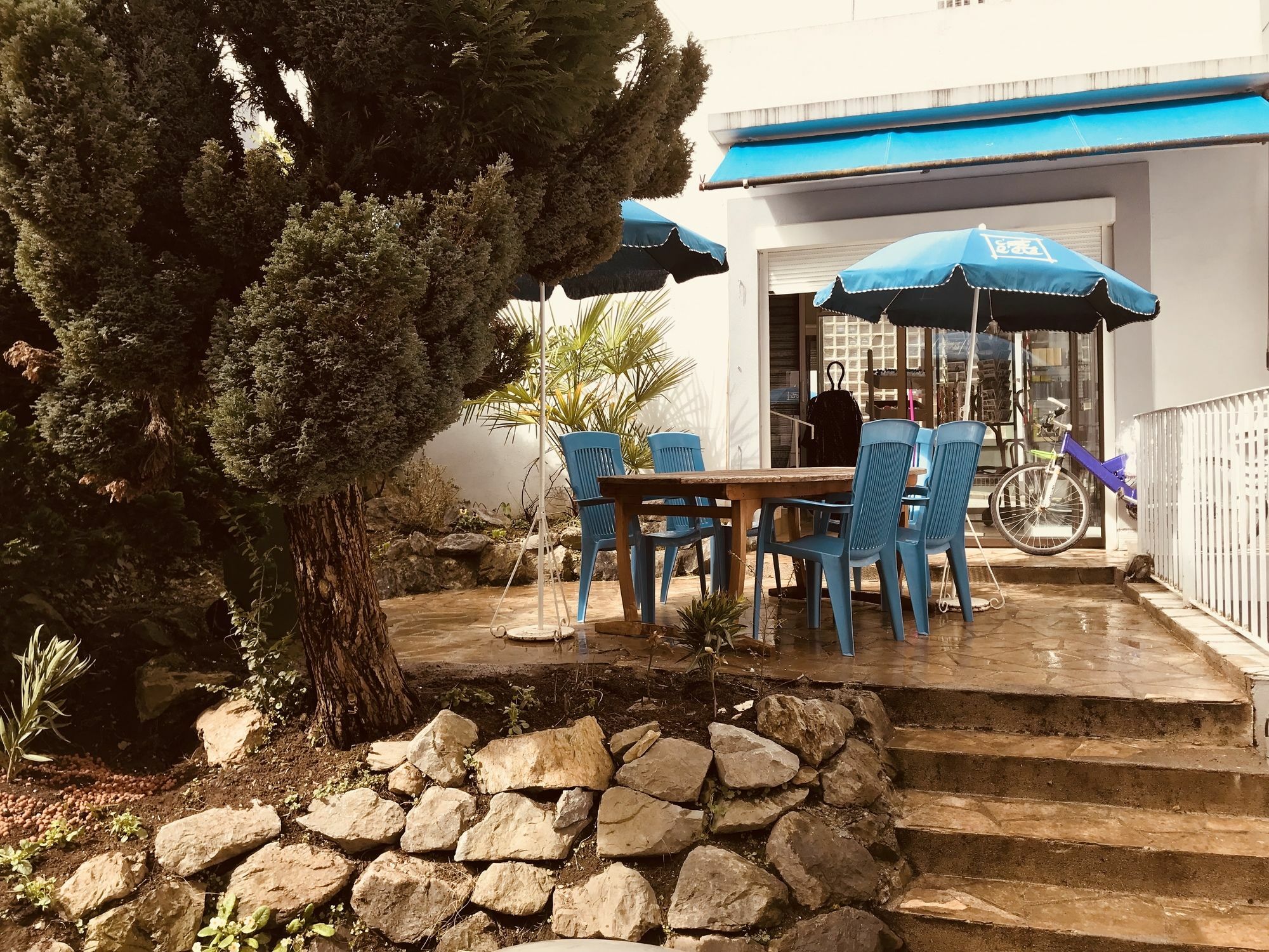 Hotel Myosotis 3*